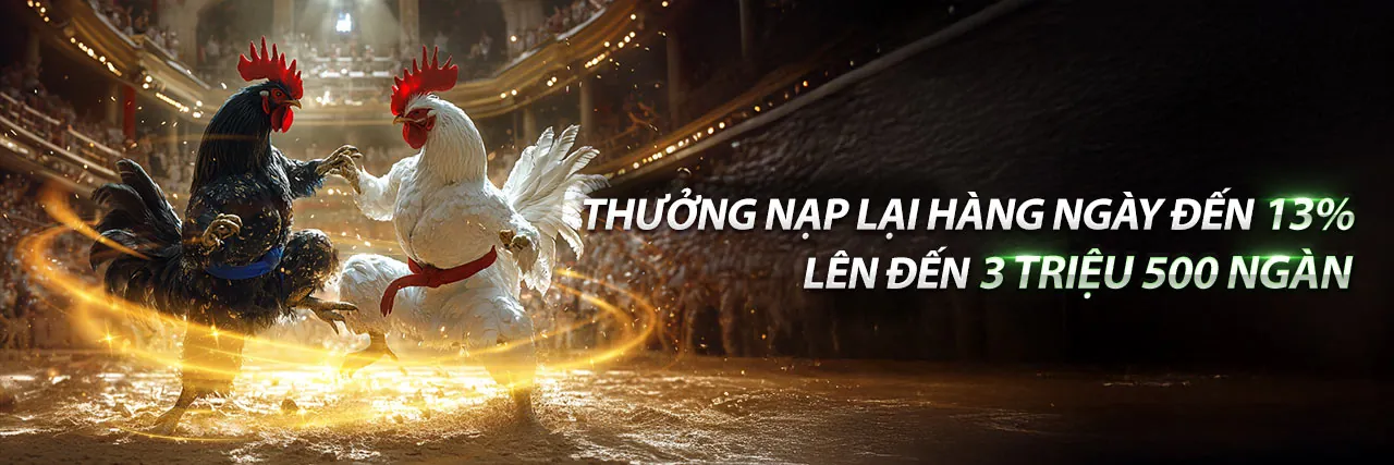 Đá gà Cado888 – Sân đấu kịch tính